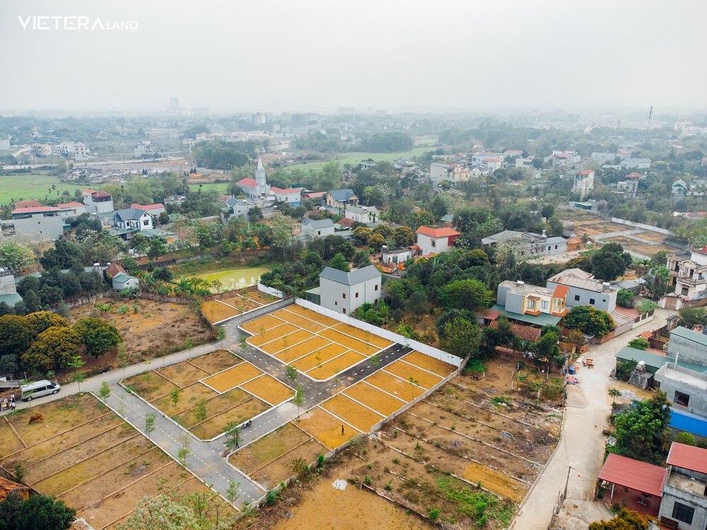 dat nen hoa lac bao gia2